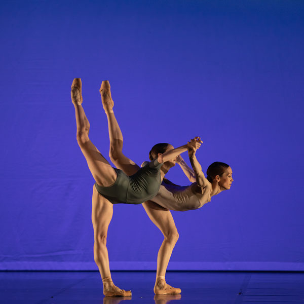 estivales danse